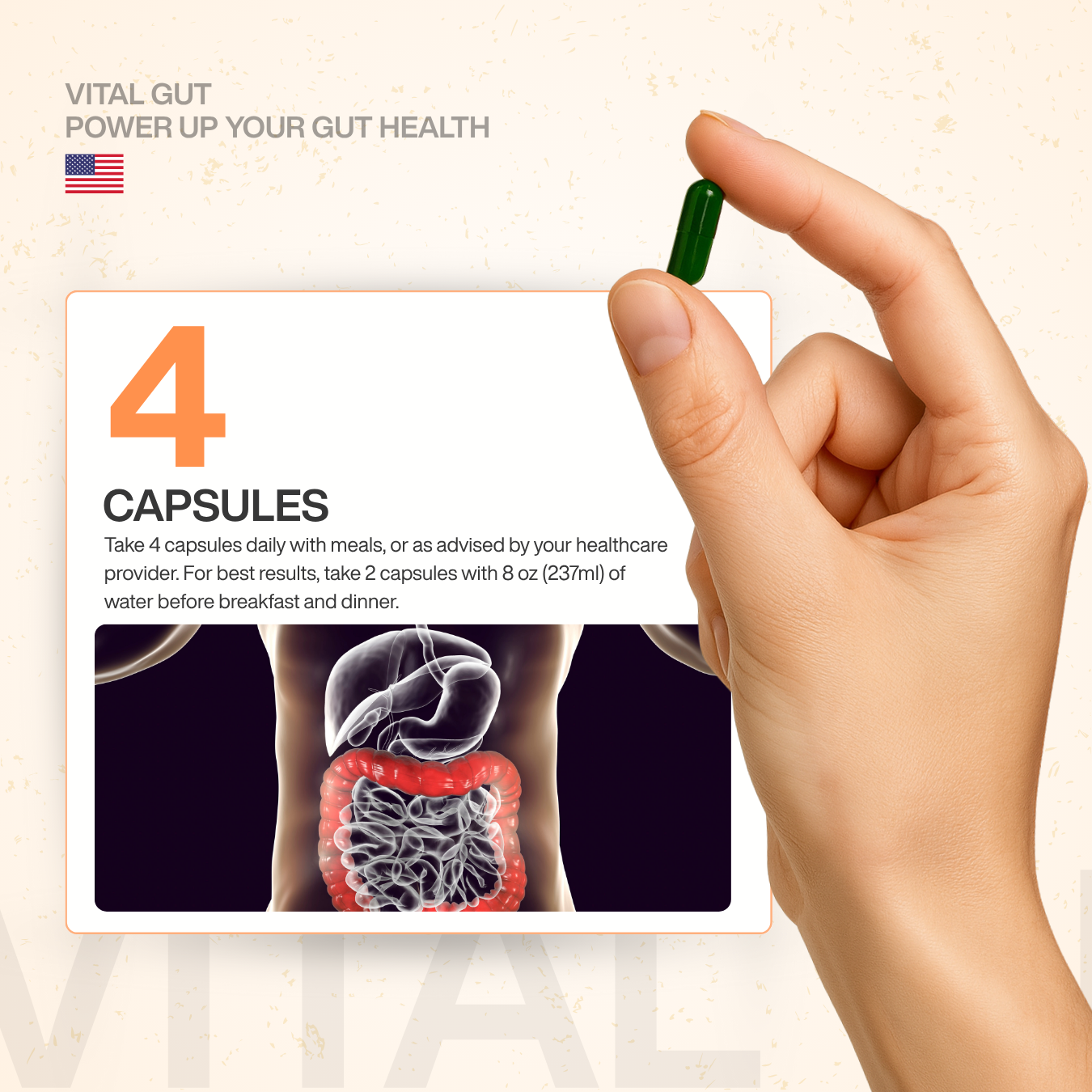 Vital Gut